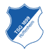 1899 Hoffenheim logo